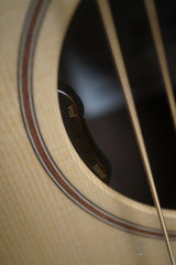 Sheeran W04 guitar pickup controls