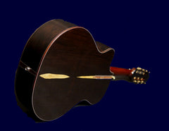 Wingert 12 fret African Blackwood guitar glam shot back