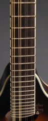 Andersen mandolin fretboard