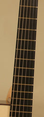 Applegate Jumbo Guitar