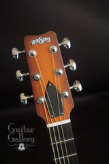 Rainsong APSE guitar headstock