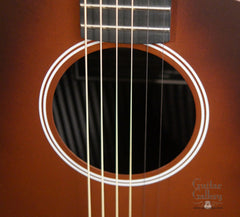 Rainsong APSE guitar rosette