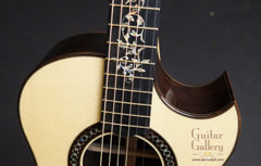 Applegate guitar