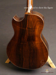Applegate FS 12 fret guitar
