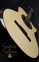 Applegate FS 12 fret guitar
