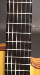 Buscarino Cabaret Guitar