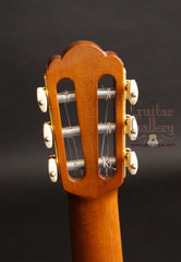 Buscarino Cabaret Guitar