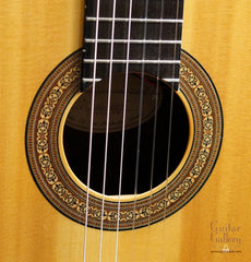 Buscarino Cabaret Guitar