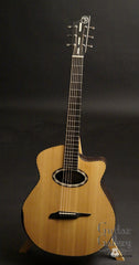 Beardsell 3D-V guitar