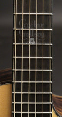 Beardsell guitar fretboard