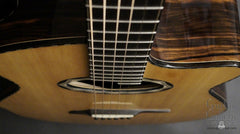 Beardsell 3D-V guitar