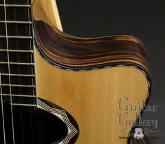 Beardsell guitar cutaway