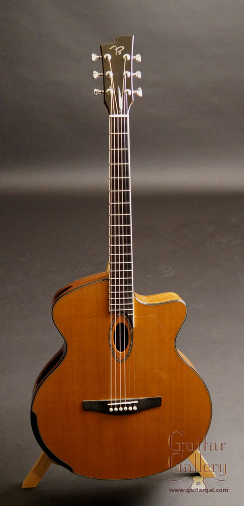 Beardsell 2D Guitar Guitar Gallery