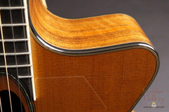 Beardsell 2D Guitar cutaway