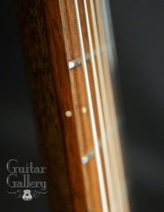 Bent Twig Sapling guitar side dots