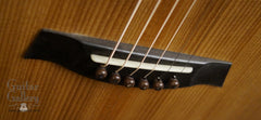 Bent Twig Sapling guitar ebony bridge