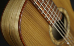 Bent Twig Sapling guitar cocobolo bindings