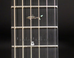 Rainsong BI-WS1000N2 guitar fretboard