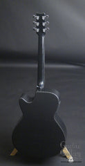 Rainsong BI-WS1000N2 guitar back full