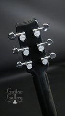 Rainsong BI-WS1000N2 headstock back