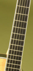 Breedlove C15e custom guitar fretboard