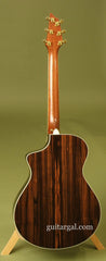 Breedlove C15e custom guitar ebony back
