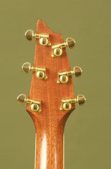 Breedlove C15e custom guitar headstock