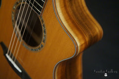 Breedlove Northwest guitar cutaway