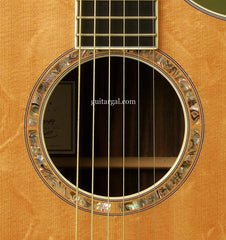 Breedlove C15e custom guitar rosette