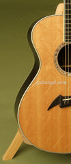 Breedlove C15e custom guitar