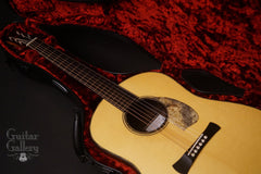 Brondel D1 guitar inside case