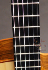 Buscarino Cabaret Guitar