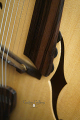 Buscarino Artisan Archtop guitar controls