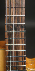 Buscarino Artisan Archtop guitar fretboard