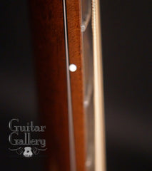 Breedlove C25W guitar side dots