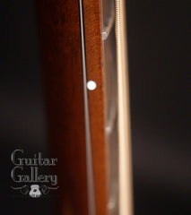 Breedlove C25W guitar side dots