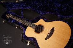 Breedlove C25W guitar inside case