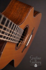 Breedlove C25W guitar view down front