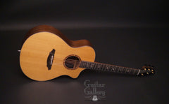 Breedlove C25W guitar glam shot