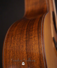 Breedlove C25W guitar side detail
