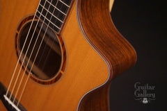 Breedlove C25W guitar cutaway