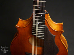 Campanella Dué 2-Point Mandola fretboard