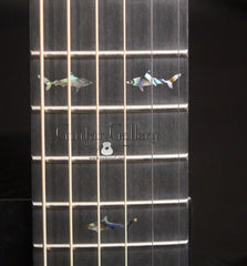 Rainsong CO-WS1000N2 guitar fretboard