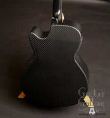 Rainsong CO-WS1000N2 guitar back