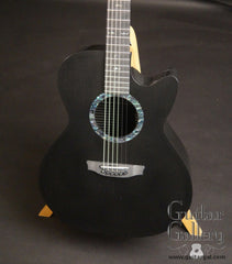 Rainsong CO-WS1000N2 guitar at Guitar Gallery
