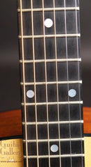 Ted Davis guitar fretboard