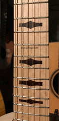 Deering Goodtime Six Jumbo 6 string Banjo fretboard