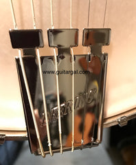 Deering Goodtime Six Jumbo 6 string Banjo tailpiece