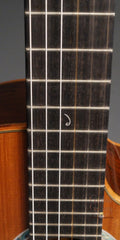 Delgado crossover guitar fretboard