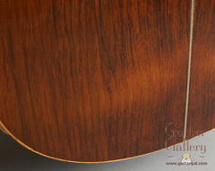 Delgado crossover guitar low back